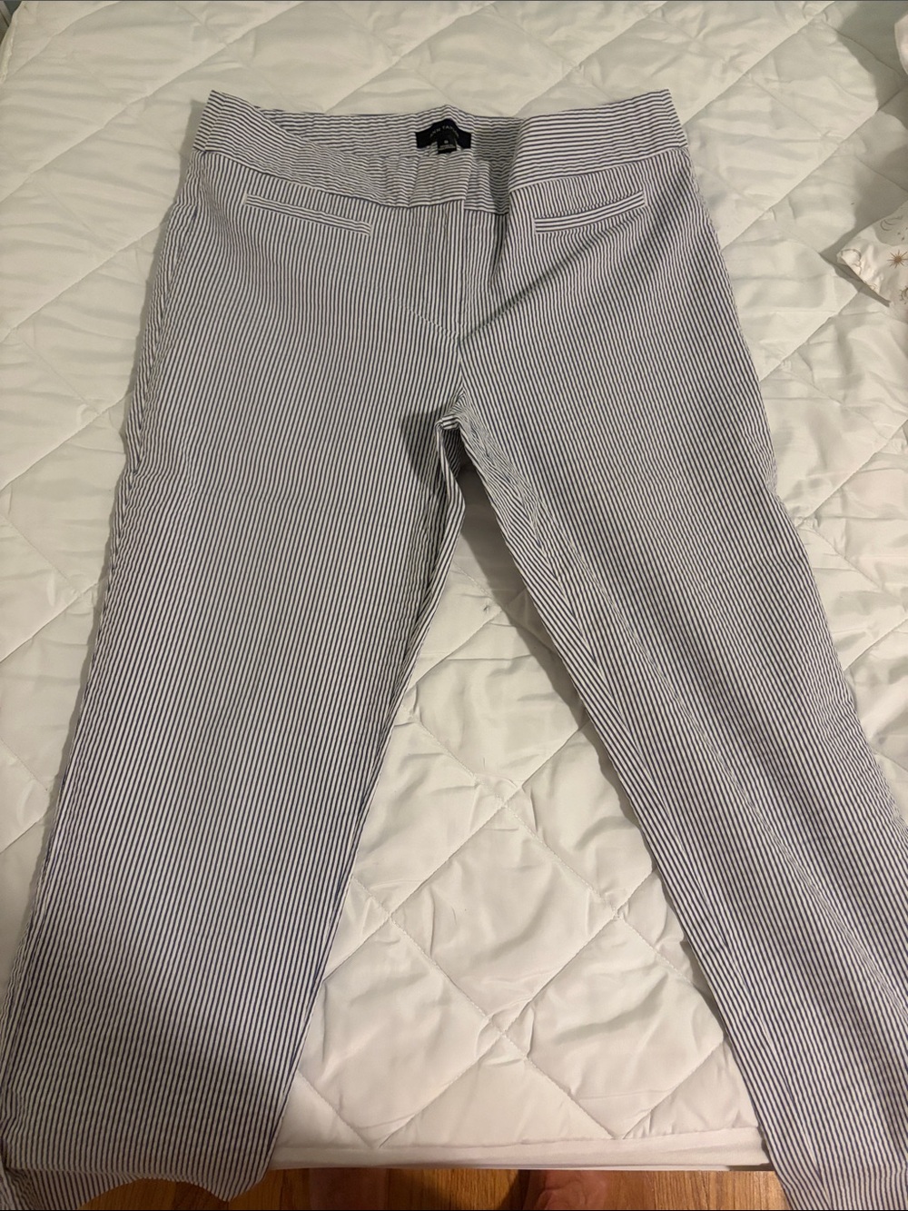Ann Taylor Men’s Blue and White Pinstripe Chinos